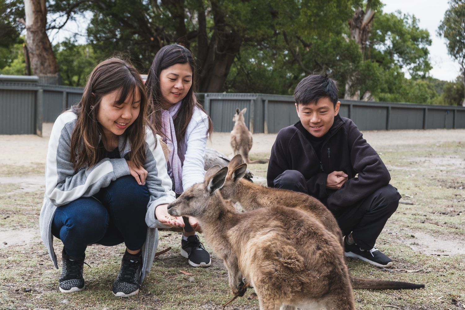 Exotic Animal Encounters
