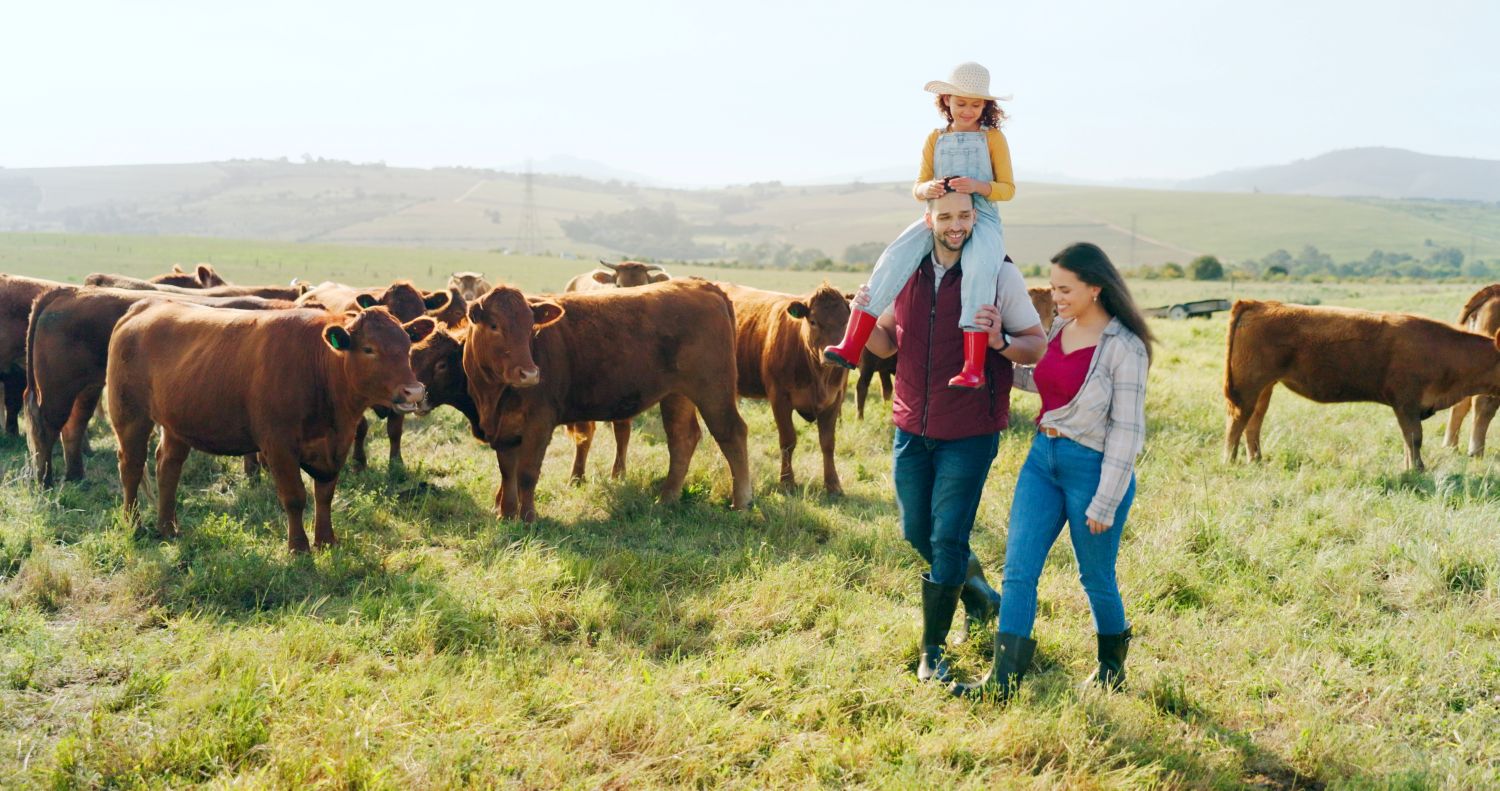 How a Wildlife Safari Ranch Works