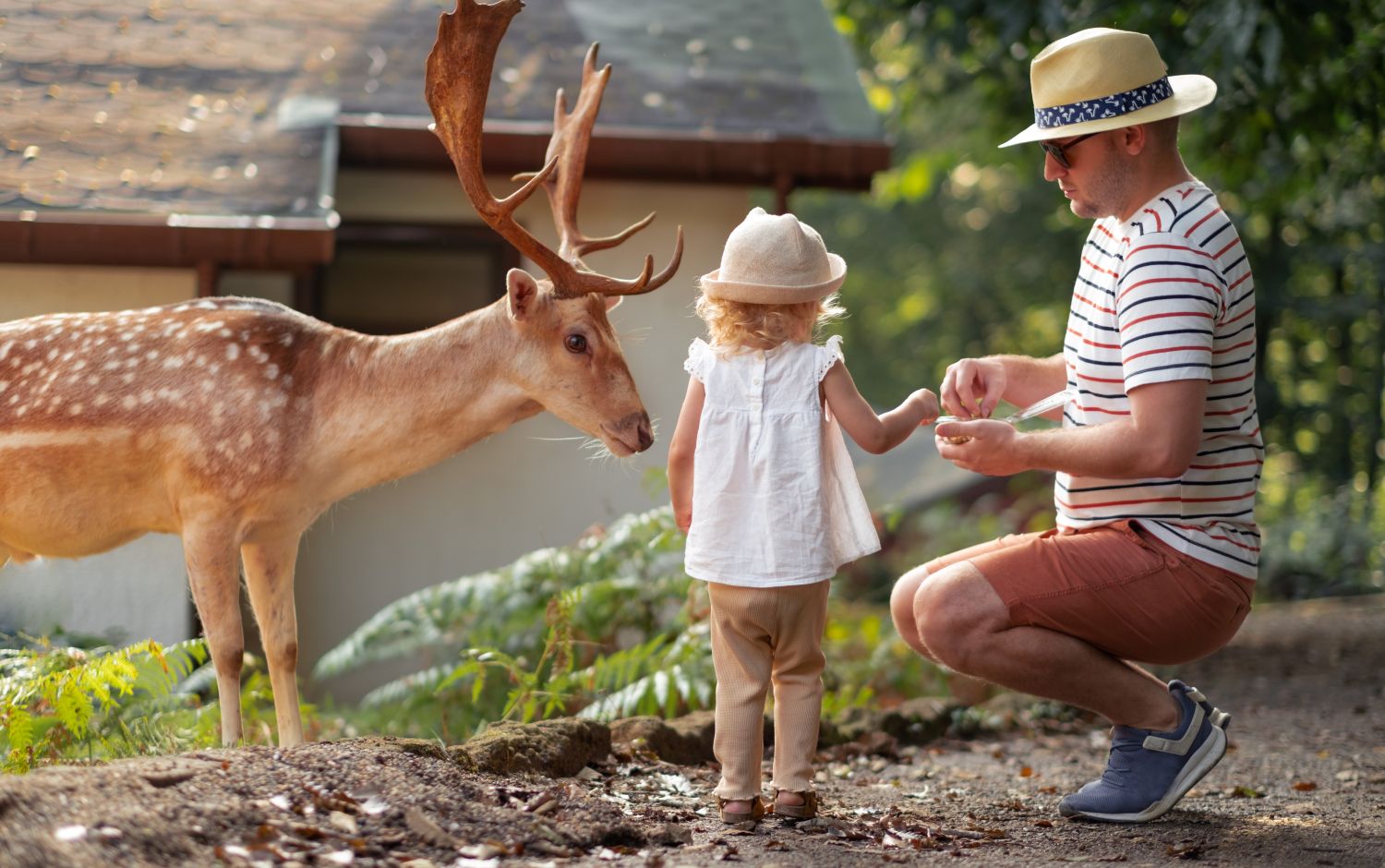 Is a Wildlife Ranch Good for Families