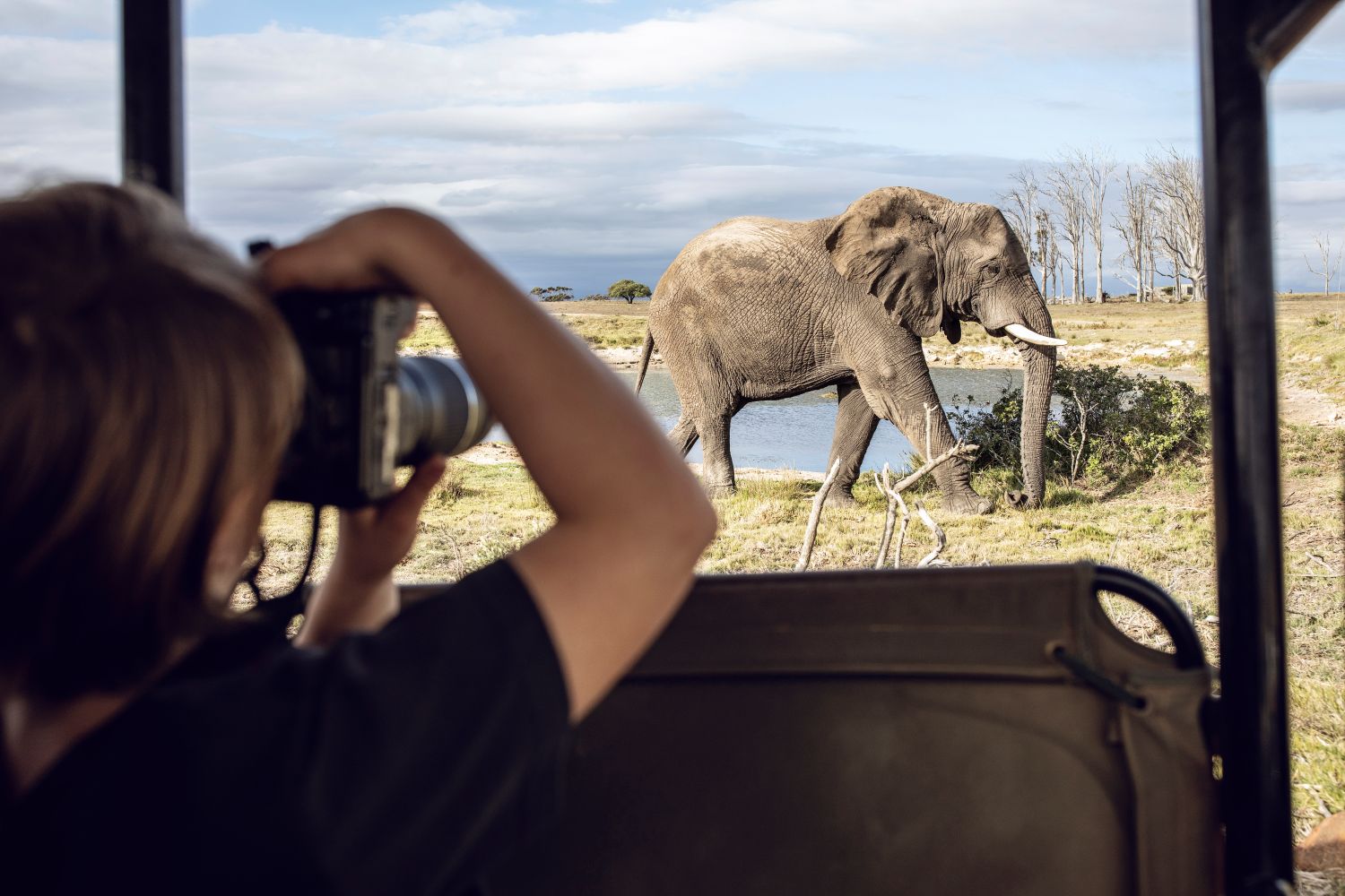 Wildlife Photography at Safari Parks