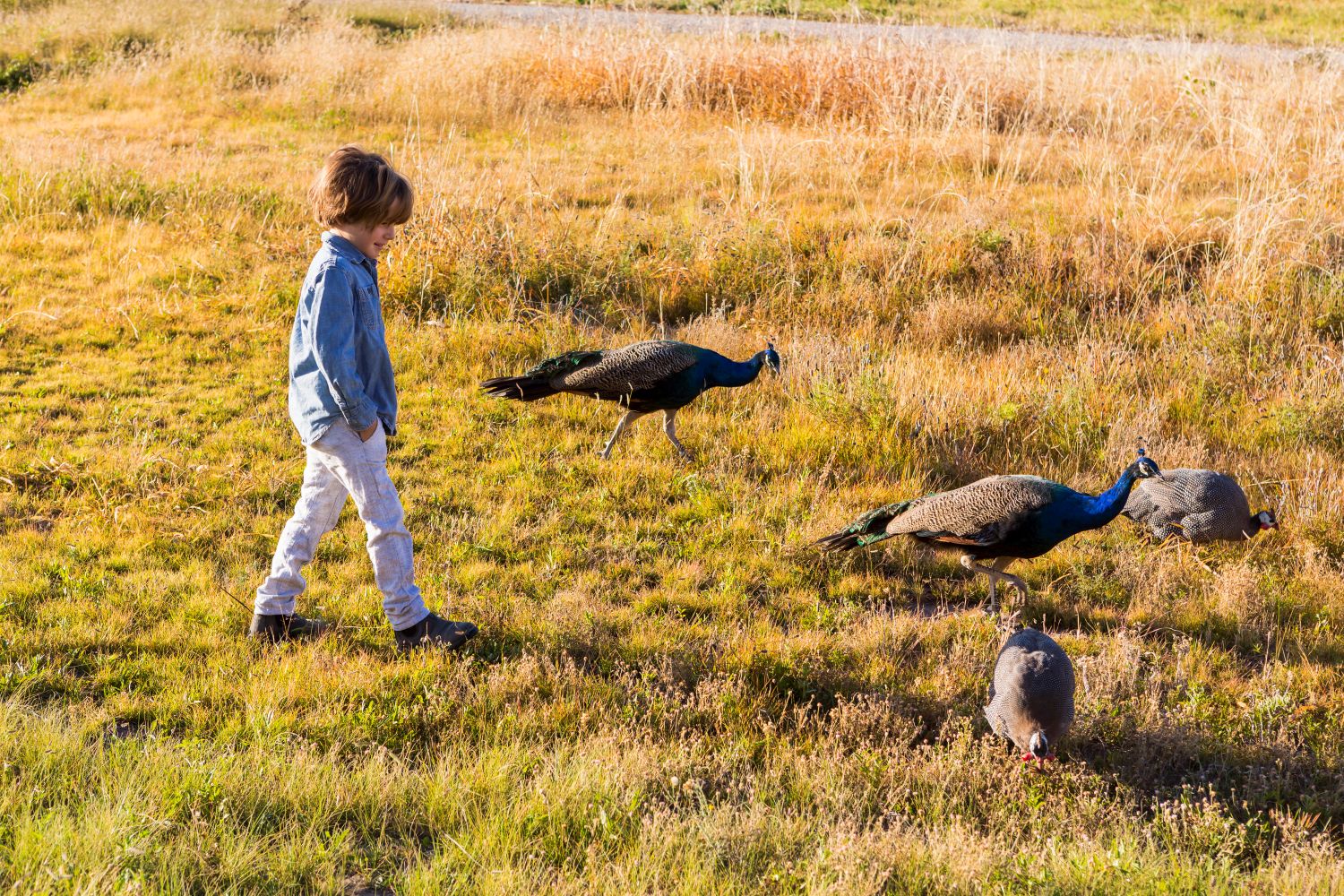 Wildlife Ranch Visit with Kids