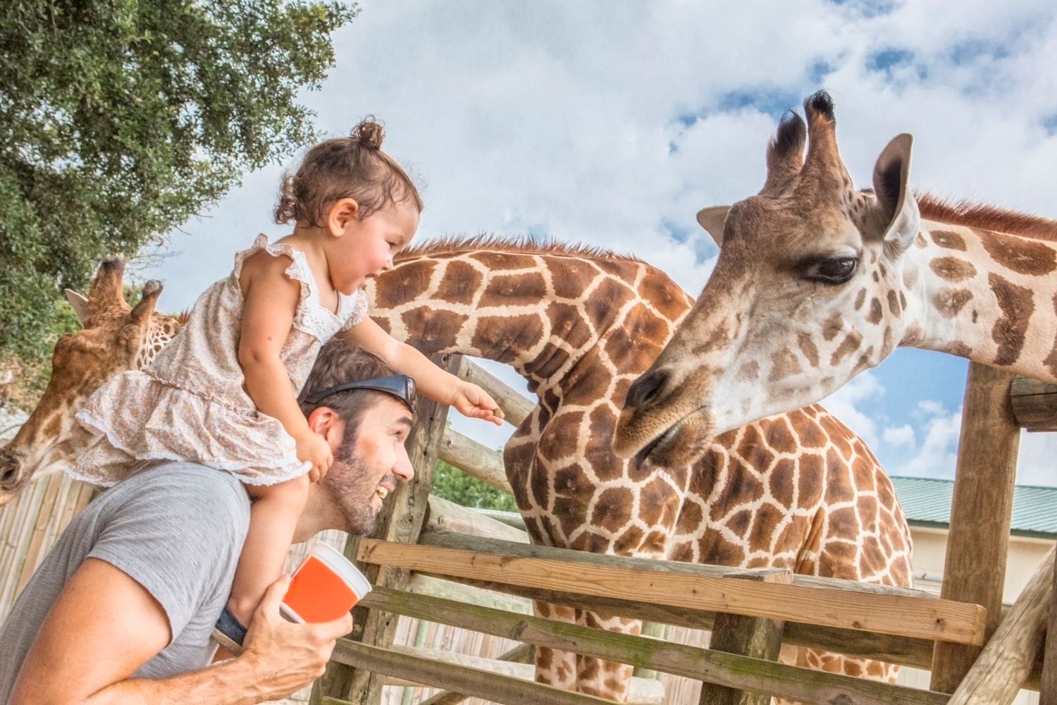 Wildlife Ranch Visitor Guide