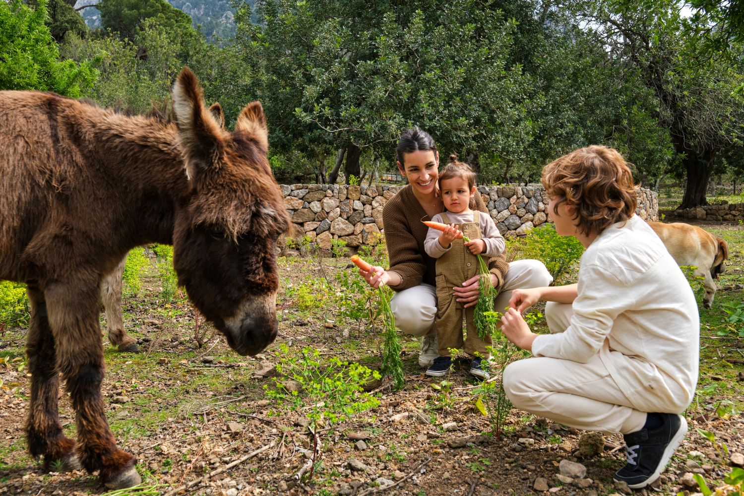 Wildlife Safari Ranch for Families