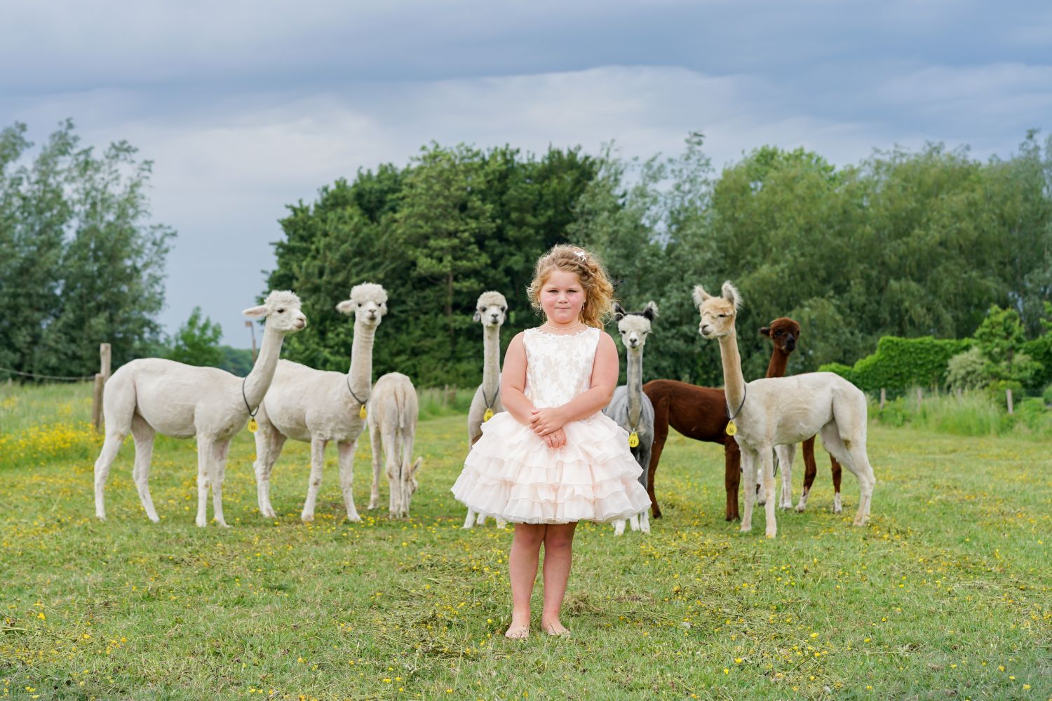 Wildlife Safari Ranch for Kids