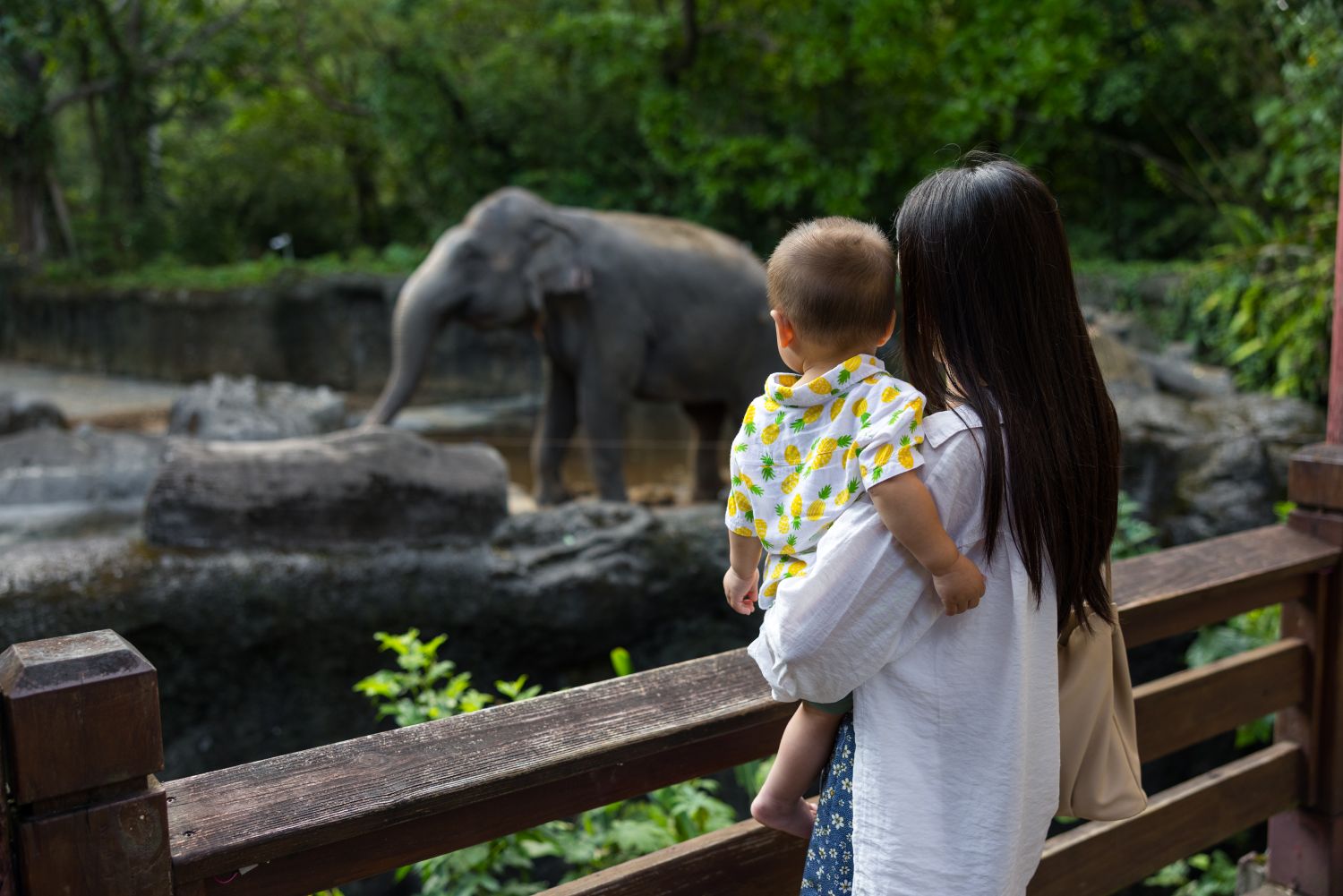Wildlife Safari Ranch vs Zoo